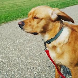 Meet your Posher, Kendall l